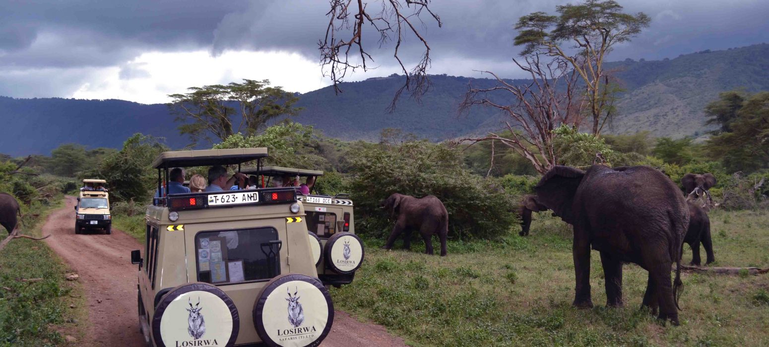 Tanzania elephant with losirwa safaris